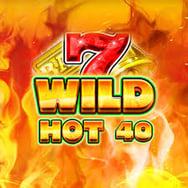 Wild Hot 40