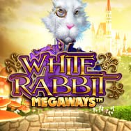 White Rabbit