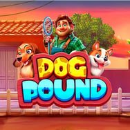 Dog Pound